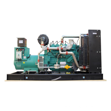 High Power Fully Automatic 250 Kw Natural Gas Generator